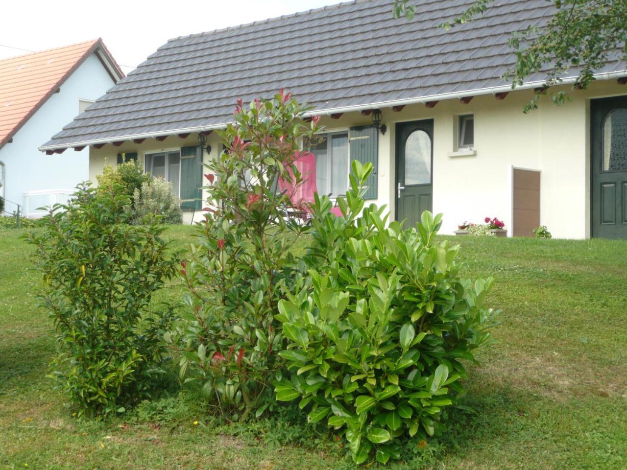 Chez Anny Et Jean Au Mittelbuehl-Reichshoffen Bed and Breakfast Exteriör bild